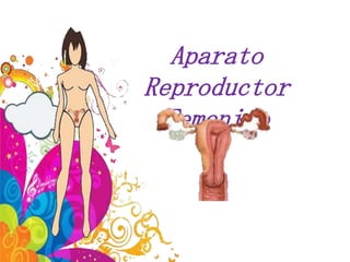 Aparato
Reproductor
  Femenino
 