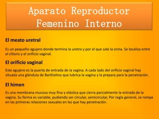 Aparato reproductor femenino | PPTX