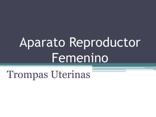 Aparato Reproductor
       Femenino
Trompas Uterinas
 