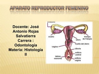 Docente: José
Antonio Rojas
Salvatierra
Carrera :
Odontología
Materia: Histología
II
 
