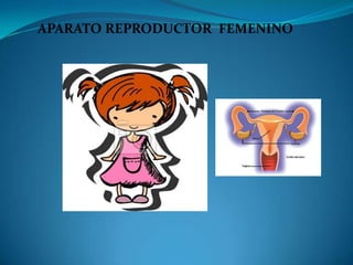 APARATO REPRODUCTOR FEMENINO
 