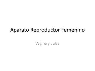 Aparato Reproductor Femenino
Vagina y vulva
 