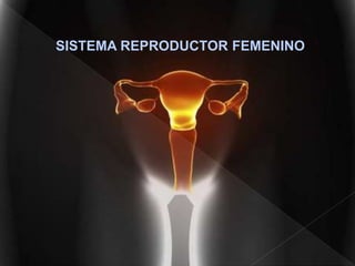 SISTEMA REPRODUCTOR FEMENINO
 