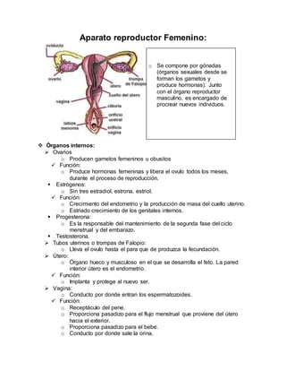 Aparato reproductor Femenino:
 Órganos internos:
 Ovarios
o Producen gametos femeninos u obusitos
 Función:
o Produce hormonas femeninas y libera el ovulo todos los meses,
durante el proceso de reproducción.
 Estrógenos:
o Sin tres estradiol, estrona, estriol.
 Función:
o Crecimiento del endometrio y la producción de masa del cuello uterino.
o Estriado crecimiento de los genitales internos.
 Progesterona:
o Es la responsable del mantenimiento de la segunda fase del ciclo
menstrual y del embarazo.
 Testosterona.
 Tubos uterinos o trompas de Falopio:
o Lleva el ovulo hasta el para que de produzca la fecundación.
 Útero:
o Órgano hueco y musculoso en el que se desarrolla el feto. La pared
interior útero es el endometrio.
 Función:
o Implanta y protege al nuevo ser.
 Vagina:
o Conducto por donde entran los espermatozoides.
 Función:
o Receptáculo del pene.
o Proporciona pasadizo para el flujo menstrual que proviene del útero
hacia el exterior.
o Proporciona pasadizo para el bebe.
o Conducto por donde sale la orina.
o Se compone por gónadas
(órganos sexuales desde se
forman los gametos y
produce hormonas). Junto
con el órgano reproductor
masculino, es encargado de
procrear nuevos individuos.
 