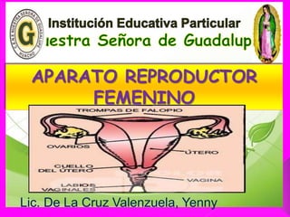 APARATO REPRODUCTOR
FEMENINO
Lic. De La Cruz Valenzuela, Yenny
 