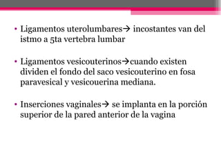 • Ligamentos uterolumbares incostantes van del
istmo a 5ta vertebra lumbar
• Ligamentos vesicouterinoscuando existen
dividen el fondo del saco vesicouterino en fosa
paravesical y vesicouerina mediana.
• Inserciones vaginales se implanta en la porción
superior de la pared anterior de la vagina

 