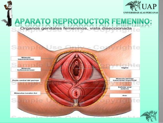 El tratamiento por la sal marina de la psoriasis