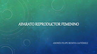 APARATO REPRODUCTOR FEMENINO
ANDRÉS FELIPE BEDOYA GUTIÉRREZ
 