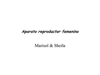 Aparato reproductor femenino Marisol & Sheila 