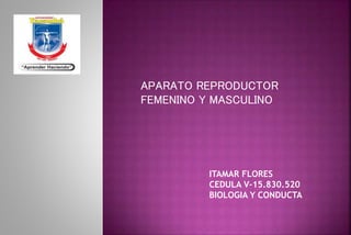 APARATO REPRODUCTOR
FEMENINO Y MASCULINO
ITAMAR FLORES
CEDULA V-15.830.520
BIOLOGIA Y CONDUCTA
 