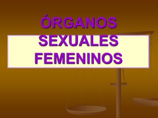 ÓRGANOS
SEXUALES
FEMENINOS
 