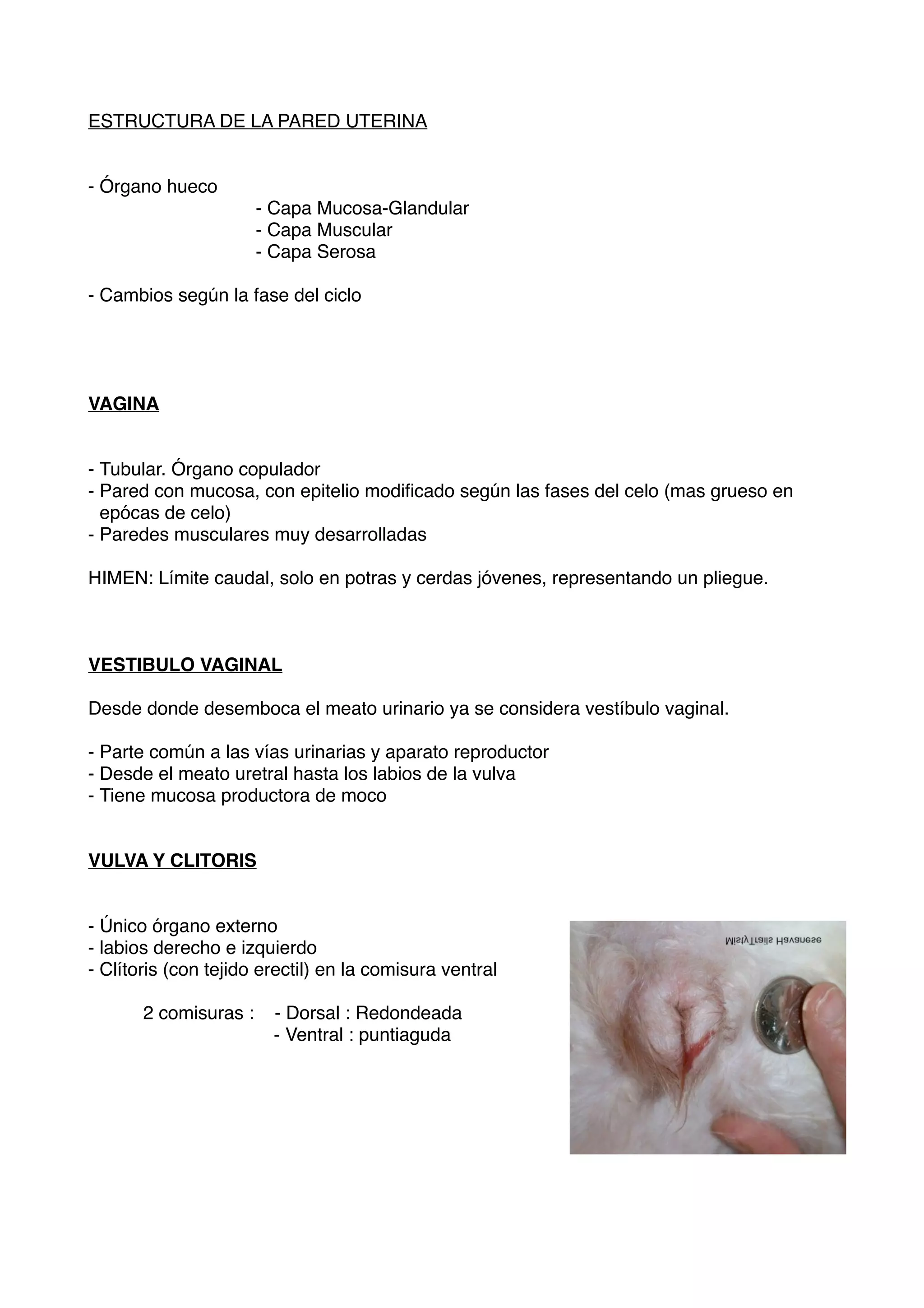 Aparato reproductor hembras ( Veterinaria) PDF