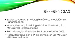 REFERENCIAS
•  Sadler, Langman, Embriología médica, 8ª edición, Ed.
Panamericana
•  Moore, Persaud, Embriología básica, 5ª edición, Ed.
McGraw-Hill Interamericana
•  Ross. Histología, 4ª edición, Ed. Panamericana, 2005.
•  Hafez. Reproduccion e IA en animales 6ª Ed. McGraw-
Hill Interamericana
 