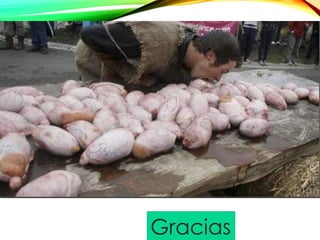 Gracias
 
