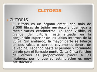 CLITORIS
 CLITORIS
◦ El clítoris es un órgano eréctil con más de
8.000 fibras de tejido nervioso y que llega a
medir varios centímetros. La zona visible, el
glande del clítoris, está situada en la
conjunción superior de los labios internos de la
vulva. Sin embargo, la mayor parte se bifurca
en dos raíces o cuerpos cavernosos dentro de
la vagina, llegando hasta el perineo y formando
un eje con el llamado punto G. La única función
del clítoris es proporcionar placer a las
mujeres, por lo que su estimulación es muy
satisfactoria.
 