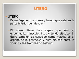 UTERO
 UTERO
◦ Es un órgano musculoso y hueco que está en la
parte inferior del vientre.
◦ El útero, tiene tres capas que son el
endometrio, músculos lisos y tejido elástico. El
útero también es conocido como matriz, es el
órgano de la gestación y está situado entre la
vagina y las trompas de Falopio.
 