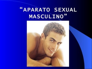 “ APARATO SEXUAL MASCULINO” 