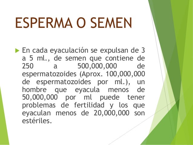 número de teléfono escoltas semen número de teléfono escoltas semen