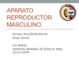 APARATO
REPRODUCTOR
MASCULINO.
 Nombre: Mora Bonilla Brenda
 Grupo: 6cm22

 Dra. Beltrán
 HOSPITAL GENERAL DE ZONA 32, IMSS
 VILLA COAPA
 