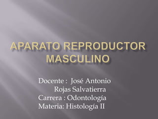 Docente : José Antonio
Rojas Salvatierra
Carrera : Odontología
Materia: Histología II
 