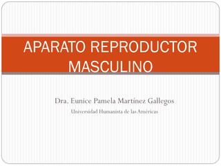APARATO REPRODUCTOR
MASCULINO
Dra. Eunice Pamela Martínez Gallegos
Universidad Humanista de las Américas

 