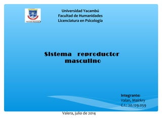 Universidad Yacambú
Facultad de Humanidades
Licenciatura en Psicología
Sistema reproductor
masculino
Integrante:
Valan, Mairkry
C.I.: 20.129.059
Valera, julio de 2014
 