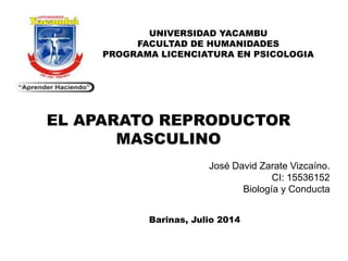 UNIVERSIDAD YACAMBU
FACULTAD DE HUMANIDADES
PROGRAMA LICENCIATURA EN PSICOLOGIA
EL APARATO REPRODUCTOR
MASCULINO
José David Zarate Vizcaíno.
CI: 15536152
Biología y Conducta
Barinas, Julio 2014
 