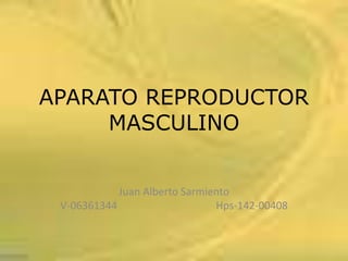 APARATO REPRODUCTOR
MASCULINO
Juan Alberto Sarmiento
V-06361344 Hps-142-00408
 