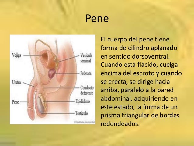 Las pastillas para el aumento del miembro de hombre
