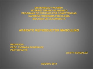 UNIVERSIDAD YACAMBU
VICERRECTORADO ACADEMICO
PROGRAMA DE ESTUDIOS POR COMPETENCIAS
CARRERA-PROGRAMA PSICOLOGÍA
BIOLOGIA DE LA CONDUCTA
APARATO REPRODUCTOR MASCULINO
PROFESOR:
PROF. XIOMARA RODRÍGUEZ
PARTICIPANTE:
LICETH GONZALEZ
AGOSTO 2014
 