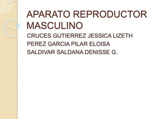 APARATO REPRODUCTOR
MASCULINO
CRUCES GUTIERREZ JESSICA LIZETH
PEREZ GARCIA PILAR ELOISA
SALDIVAR SALDANA DENISSE G.
 