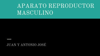 APARATO REPRODUCTOR
MASCULINO
JUAN Y ANTONIO JOSÉ
 