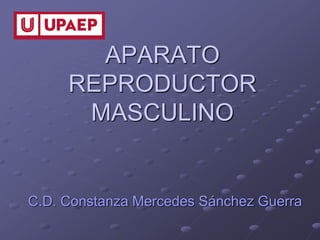 APARATO
REPRODUCTOR
MASCULINO
C.D. Constanza Mercedes Sánchez Guerra
 