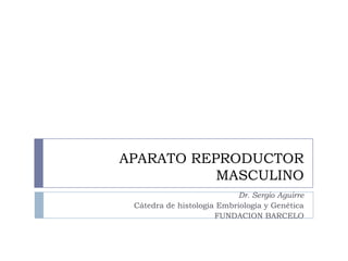 APARATO REPRODUCTOR
           MASCULINO
                            Dr. Sergio Aguirre
 Cátedra de histología Embriología y Genética
                      FUNDACION BARCELO
 
