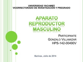 Barinas, Julio de 2014
UNIVERSIDAD YACAMBÚ
VICERRECTORADO DE INVESTIGACIÓN Y PREGRADO
PARTICIPANTE
GONZALO VILLAMIZAR
HPS-142-00490V
 