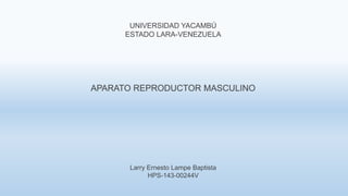 UNIVERSIDAD YACAMBÚ
ESTADO LARA-VENEZUELA
APARATO REPRODUCTOR MASCULINO
Larry Ernesto Lampe Baptista
HPS-143-00244V
 
