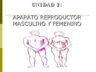 UNIDAD 2: APARATO REPRODUCTOR MASCULINO Y FEMENINO 