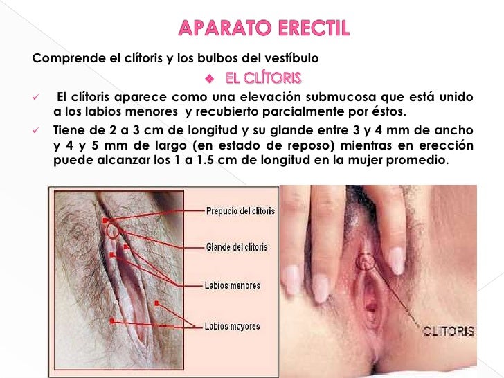 El aumento del pene en gomele