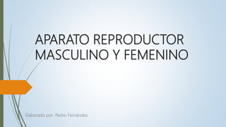 APARATO REPRODUCTOR
MASCULINO Y FEMENINO
Elaborado por: Pedro Fernández
 