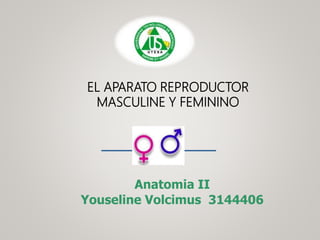 EL APARATO REPRODUCTOR
MASCULINE Y FEMININO
Anatomia II
Youseline Volcimus 3144406
 