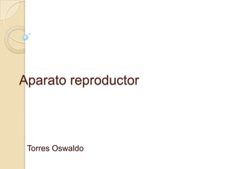 Aparato reproductor



 Torres Oswaldo
 