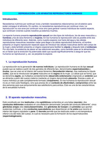 REPRODUCCIÓN. LOS APARATOS REPRODUCTORES HUMANOS

Introducción.

Necesitamos nutrirnos por continuar vivos y también necesitamos relacionarnos con el exterior para
poder conseguir el alimento. En cambio, no necesitamos reproducirnos por continuar vivos. La
reproducción no nos sirve por continuar vivos sino para generar nuevos individuos de nuestra especie,
que continúen viviendo cuando nosotros ya estemos muertos.

La especie humana presenta reproducción sexual con dos tipos de individuos, los de sexo masculino u
hombres y los de sexo femenino o mujeres. En los humanos la reproducción sólo es posible entre dos
individuos de diferente sexo. Además, como nuestra especie vive fuera del agua y las células
reproductoras masculinas necesitan nadar para llegar a la célula reproductora femenina, el hombre
presenta un órgano reproductor especial capaz de introducir las células masculinas dentro del cuerpo de
la mujer y ésta también presenta un órgano especial para facilitar la cópula y después todo el embarazo.
Por otro lado, la existencia de placer en las relaciones sexuales, como también pasa en la alimentación,
es un factor que la evolución ha potenciado dado que ayuda significativamente a asegurar que los
humanos se reproduzcan y, así, se perpetúe la especie.


   1. La reproducción humana.

La reproducción es la generación de nuevos individuos. La reproducción humana es de tipo sexual
puesto que se realiza a partir de dos gametos de diferente tipo, denominados espermatozoides y
óvulos, que se unen en el interior del cuerpo femenino (fecundación interna), tras realizarse la cópula
(coito), que es la introducción del pene masculino en la vagina de la mujer. La célula que se forma, que
se denomina zigoto, se multiplica constantemente (desarrollo embrionario) originando un embrión que
se alimenta a partir del cuerpo materno mediante un órgano denominado placenta. Gracias a esto, el
nuevo individuo ya sale completamente formado (viviparismo). En los humanos la reproducción sexual
no es un mero acto fisiológico, sino que precisa de un contexto de afectividad y compromiso entre las
dos personas para que psíquicamente sea satisfactorio para ambos. Esto es una de las características
de la sexualidad humana.



   2. El aparato reproductor masculino.

Está constituido por dos testículos y dos epidídimos contenidos en una bolsa (escroto), dos
conductos deferentes acabados en una dilatación denominada "ampolla del conducto deferente", cinco
glándulas anejas (dos vesículasseminales, dos glándulas de Cowper y la próstata) que aportan
sustancias nutritivas, y dos conductos eyaculadores que desembocan en la uretra que recorre el
interior del órgano copulador o pene. El escroto permite que los testículos estén a una temperatura
inferior a la del resto del cuerpo, lo cual es necesario para la formación de los espermatozoides
(espermatogénesis).
 