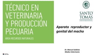 Aparato reproductor y
genital del macho
Dr. Manuel Saldivia
Medico Veterinario
 