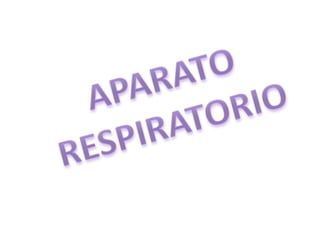 APARATO RESPIRATORIO 