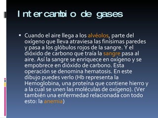 Intercambio de gases Cuando el aire llega a los  alvéolos , parte del oxígeno que lleva atraviesa las finísimas paredes y pasa a los glóbulos rojos de la sangre. Y el dióxido de carbono que traía la  sangre  pasa al aire. Así la sangre se enriquece en oxígeno y se empobrece en dióxido de carbono. Esta operación se denomina hematosis. En este dibujo puedes verlo (Hb representa la Hemoglobina, una proteína que contiene hierro y a la cual se unen las moléculas de oxígeno). (Ver también una enfermedad relacionada con todo esto: la  anemia ) 