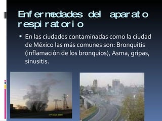 Enfermedades del aparato respiratorio En las ciudades contaminadas como la ciudad de México las más comunes son: Bronquitis (inflamación de los bronquios), Asma, gripas, sinusitis.  