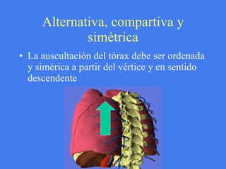 Alternativa, compartiva y simétrica La auscultación del tórax debe ser ordenada y simérica a partir del vértice y en sentido descendente 