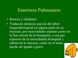 Estertores Pulmonares Roncos y sibilantes Traducen estenosis parcial del árbol traqueobronquial en alguna parte de su trayecto, por mucosidades espesas como en la fase inicial de la bronquitis, o sea por espasmo de la musculatura bronquial y edema de la mucosa, como en el asma, puede ser aguda o grave  