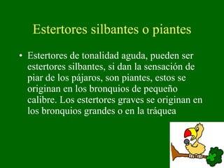 Estertores silbantes o piantes Estertores de tonalidad aguda, pueden ser estertores silbantes, si dan la sensación de piar de los pájaros, son piantes, estos se originan en los bronquios de pequeño calibre. Los estertores graves se originan en los bronquios grandes o en la tráquea 