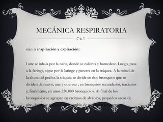 MECÁNICA RESPIRATORIA Están la  inspiración y expiración: El aire se inhala por la nariz, donde se calienta y humedece. Luego, pasa a la faringe, sigue por la laringe y penetra en la tráquea. A la mitad de la altura del pecho, la tráquea se divide en dos bronquios que se dividen de nuevo, una y otra vez , en bronquios secundarios, terciarios y, finalmente, en unos 250.000 bronquiolos. Al final de los bronquiolos se agrupan en racimos de alvéolos, pequeños sacos de aire, donde se realiza el intercambio de gases con la sangre. 